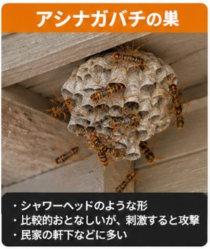 アシナガバチの巣（実際の施工写真）