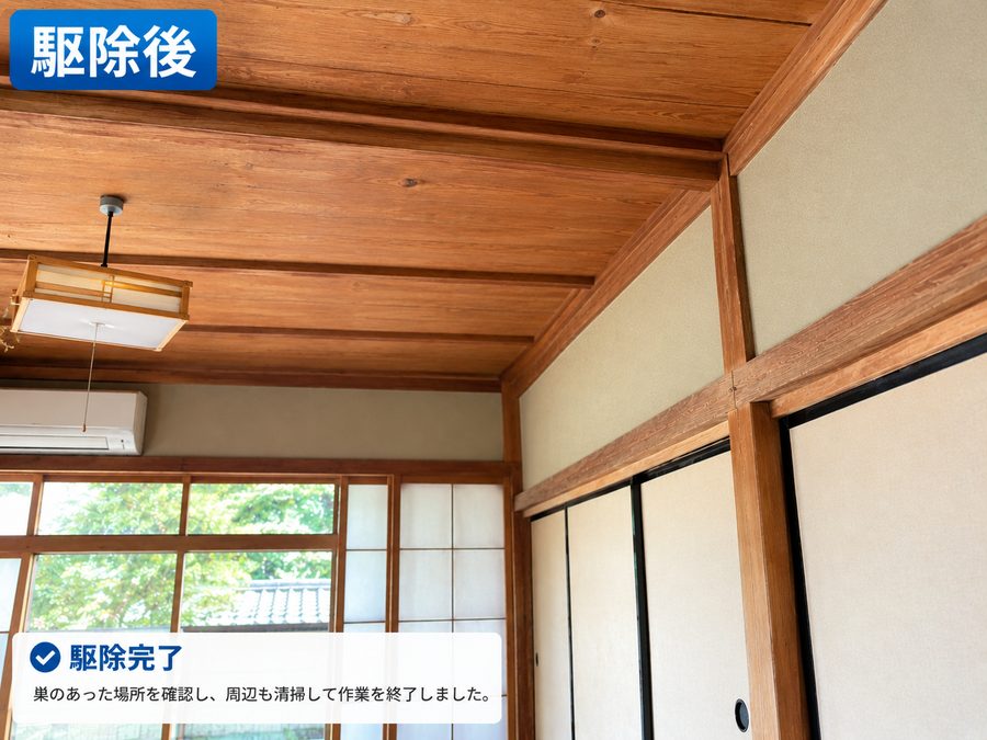 駆除後：巣を撤去し清掃した状態