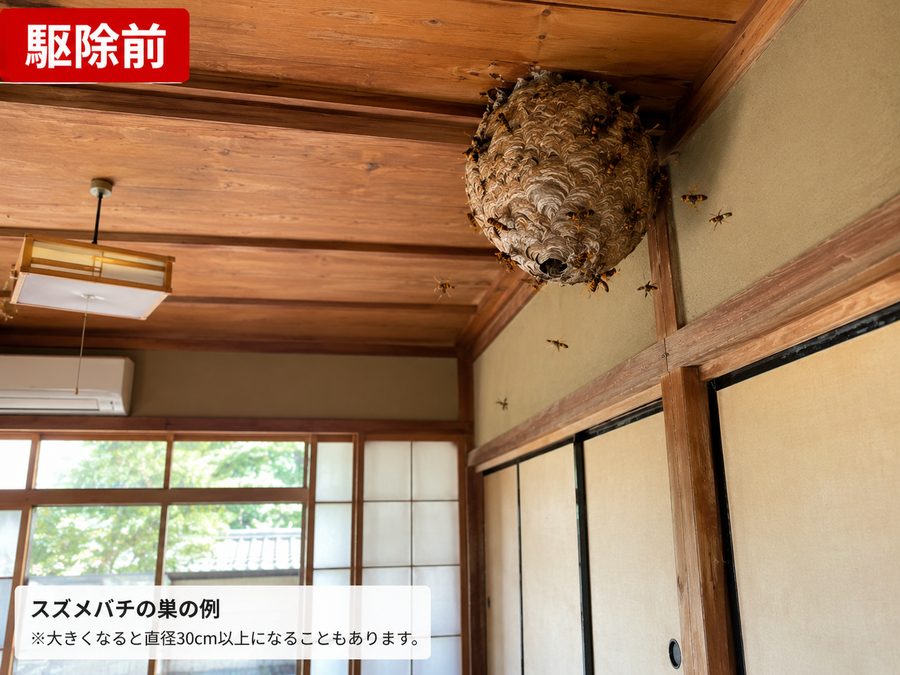 駆除前：軒下に巣がある状態